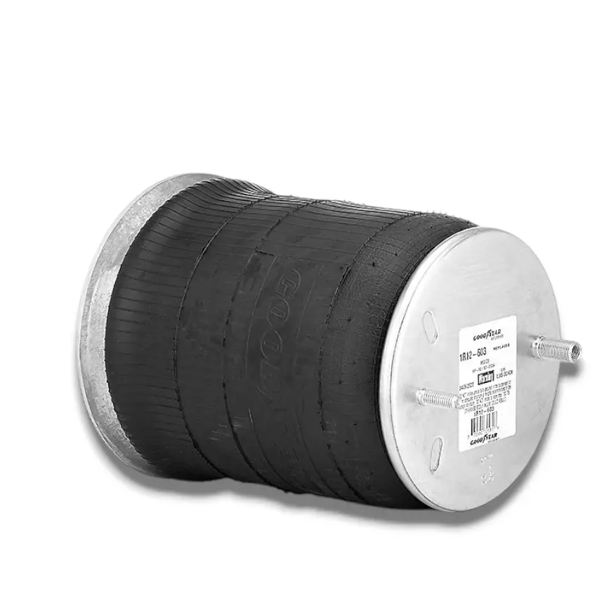 1R12-603 - BOLSA DE AIRE GOOD YEAR (A16-21557-000)